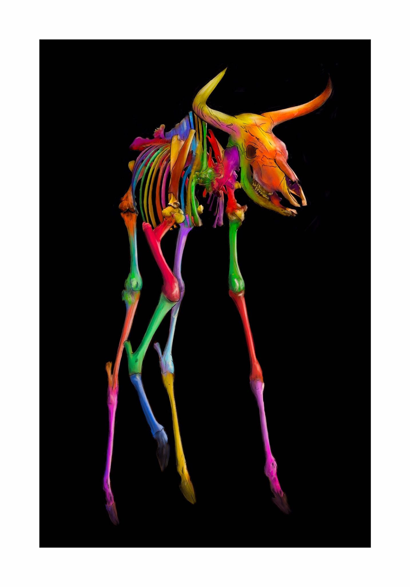 Colorful cow